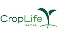 Solutions Company