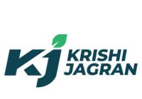 Innovation Company